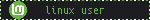 Linux User Blinkie
