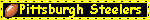 Pittsburgh Steelers Blinkies
