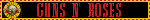 Guns N Roses Blinkie