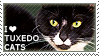 I love Tuxedo Cats Stamp
